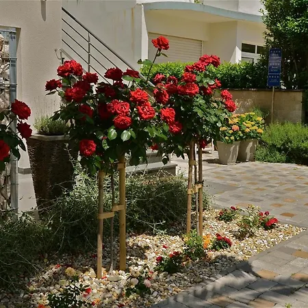 Diana Apartment
